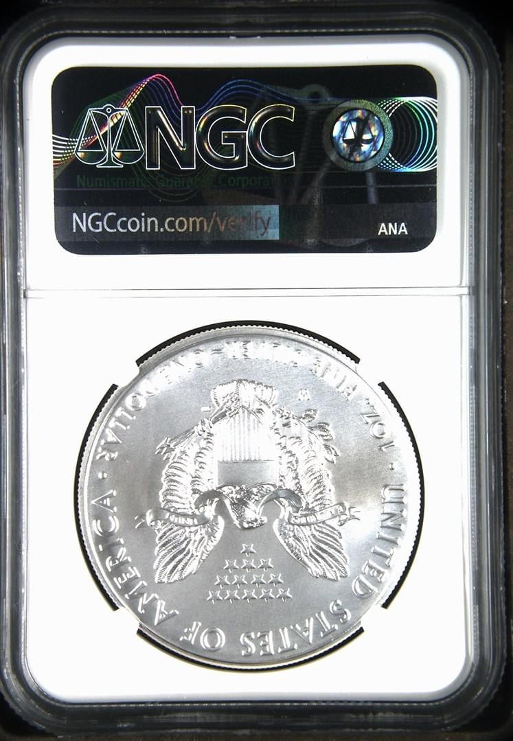 2020 W Eagle S$1 Burnished Silver Eagle MS 69