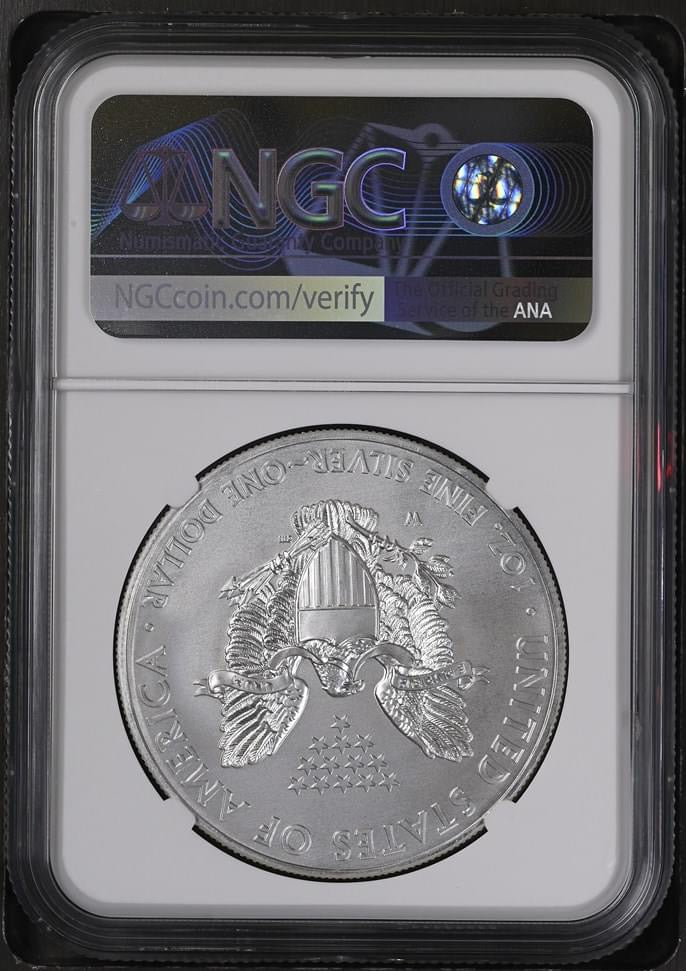 2013 W EAGLE S$1 BURNISHED SILVER EAGLE ANNUAL DOLLAR COIN SET MS 69