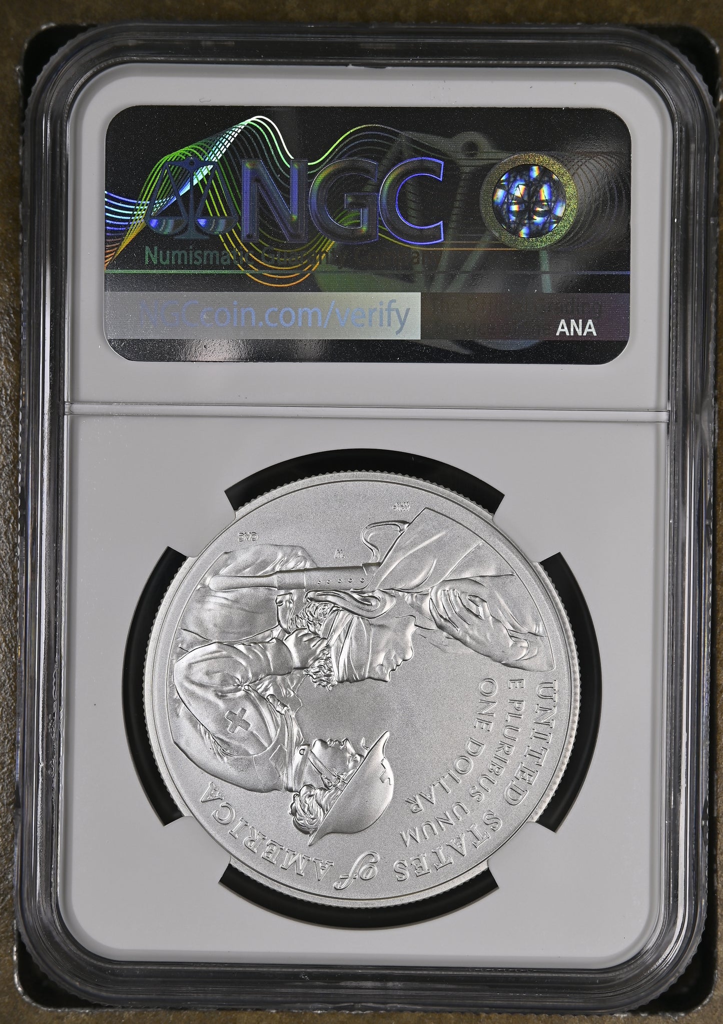 2013 W EAGLE S$1 BURNISHED SILVER EAGLE ANNUAL DOLLAR COIN SET MS 70