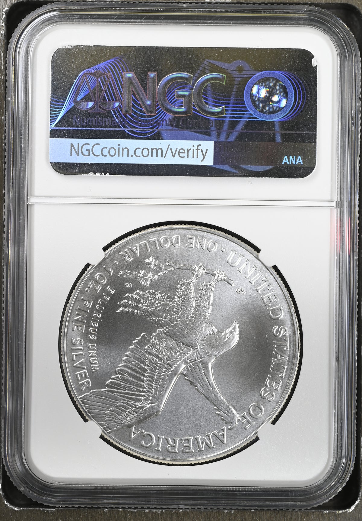 2025 TYPE 2 (REGULAR COIN) MS 69