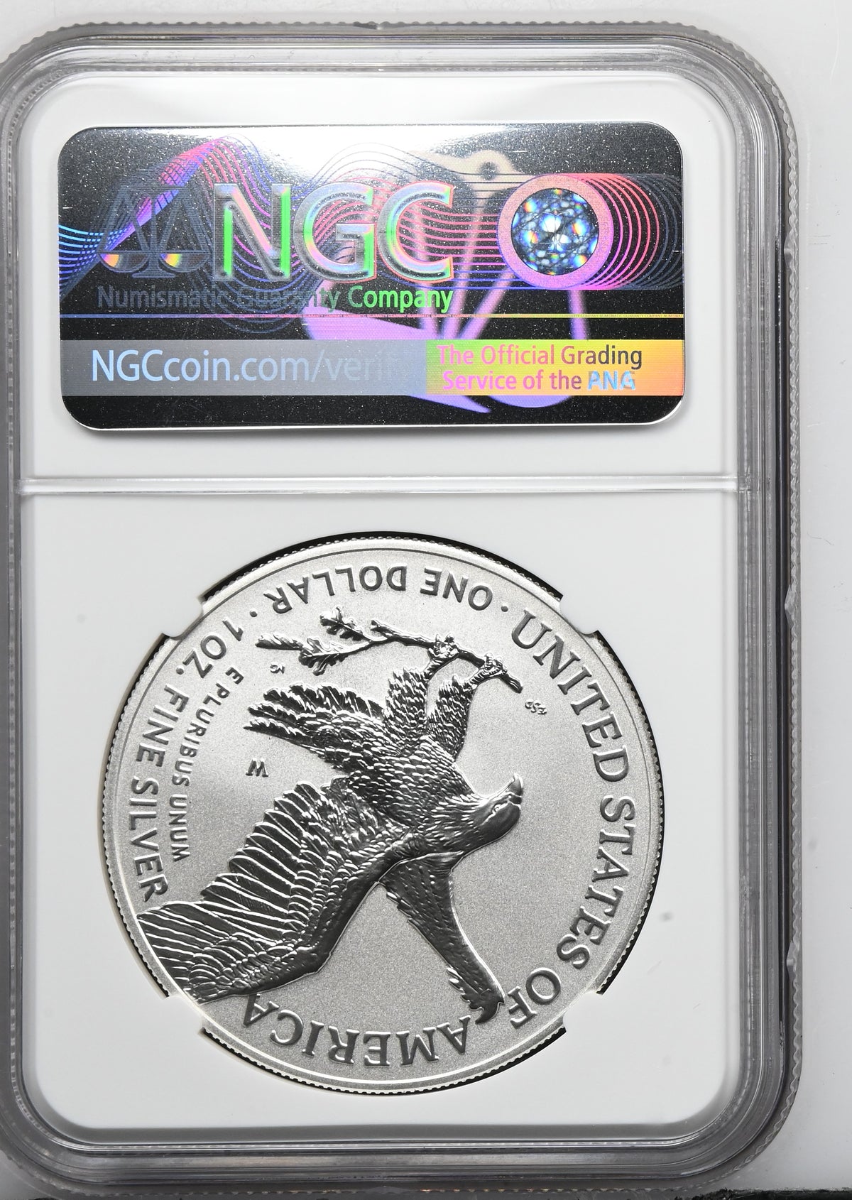 2025 TYPE 2 ENHANCED FINISH 1776-2026 MS 70