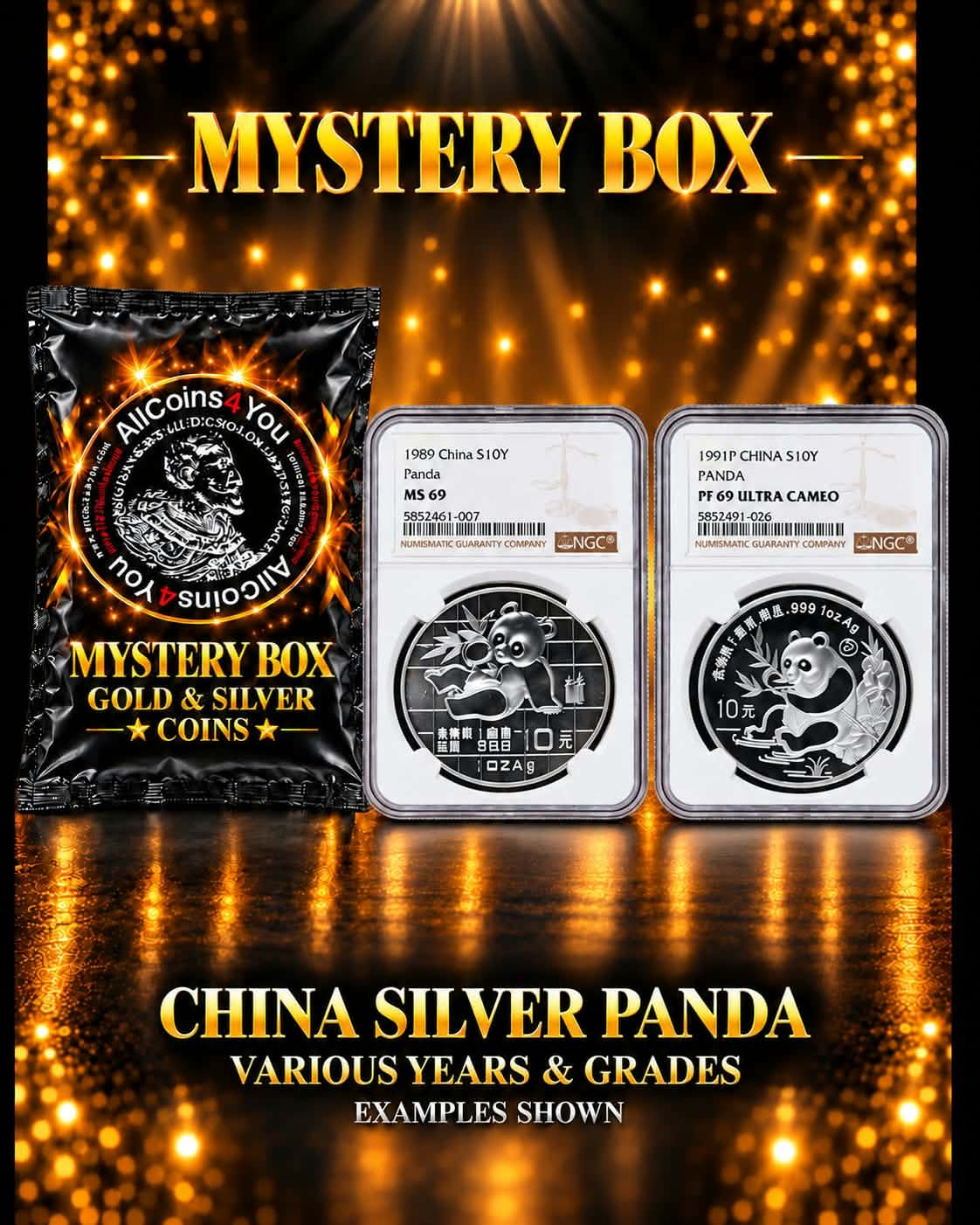 Panda Mystery Box
