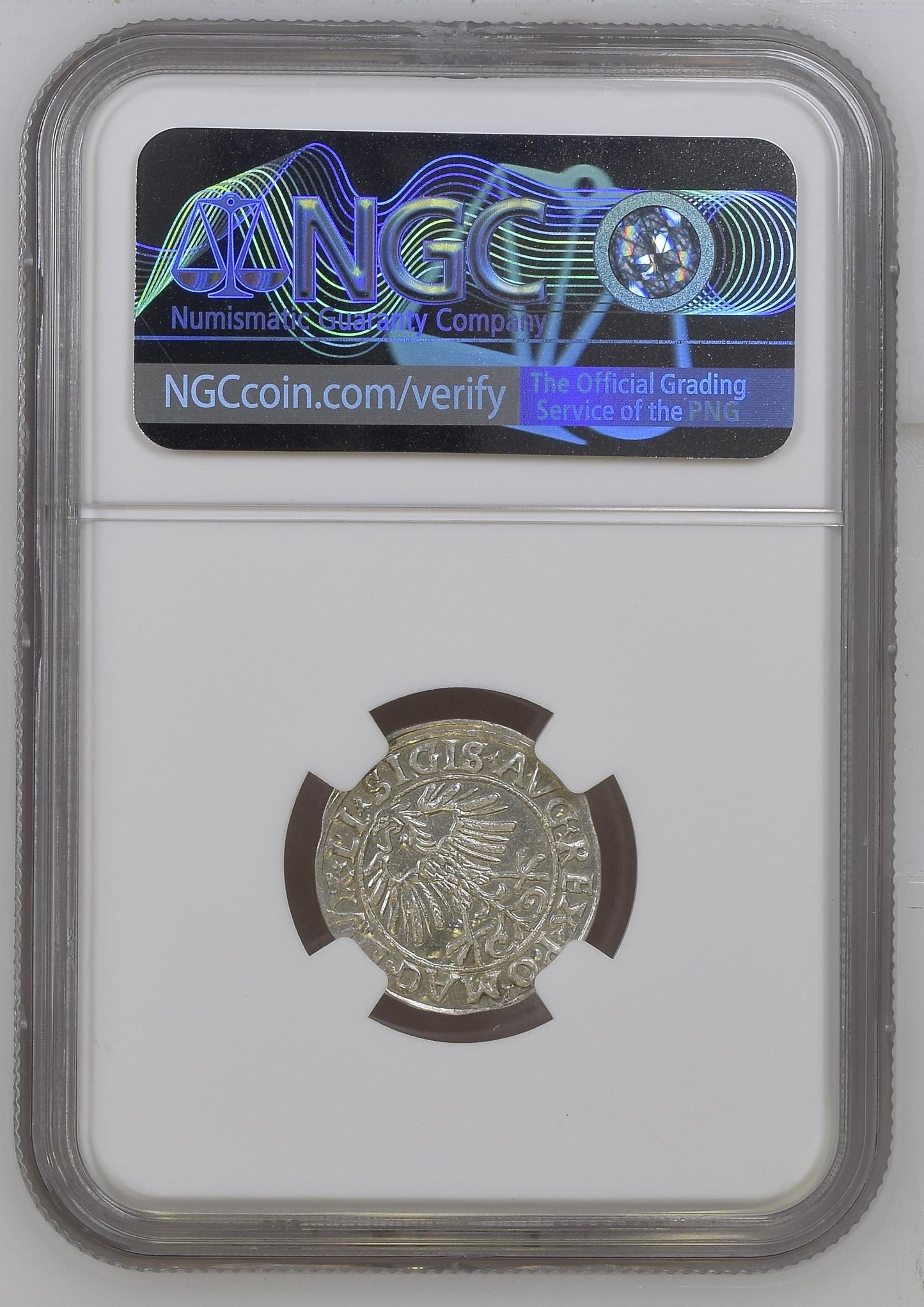 1556 POLAND POLGROSZ WILNO NGC MS 63
