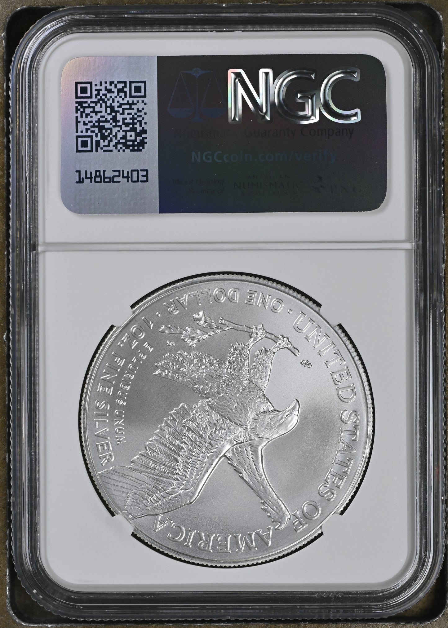 2024(P) SILVER EAGLE STAR PRIVY S$1 MS 70