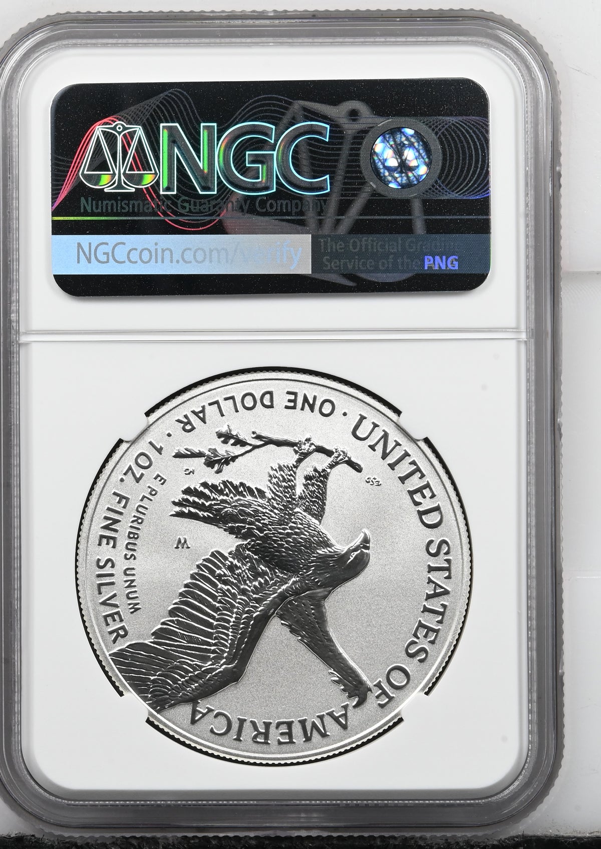 2025 TYPE 2 ENHANCED FINISH 1776-2026 MS 69